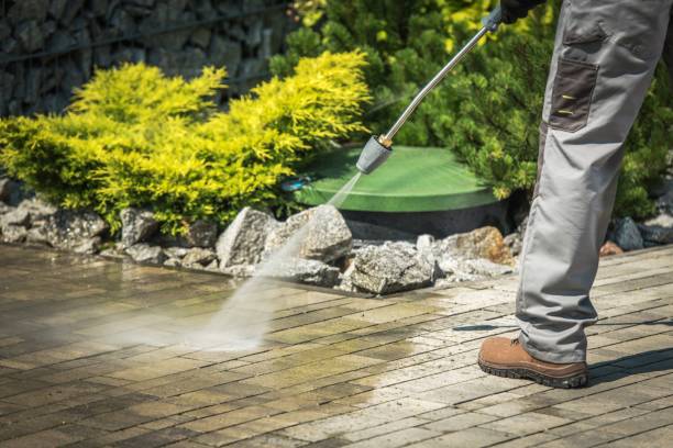 Best Pool Deck Cleaning  in Mather, CA